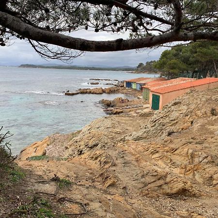 Apartamento T2 climatisé à l'Ile d'Or avec piscine près de la plage La Londe-les-Maures Exterior foto