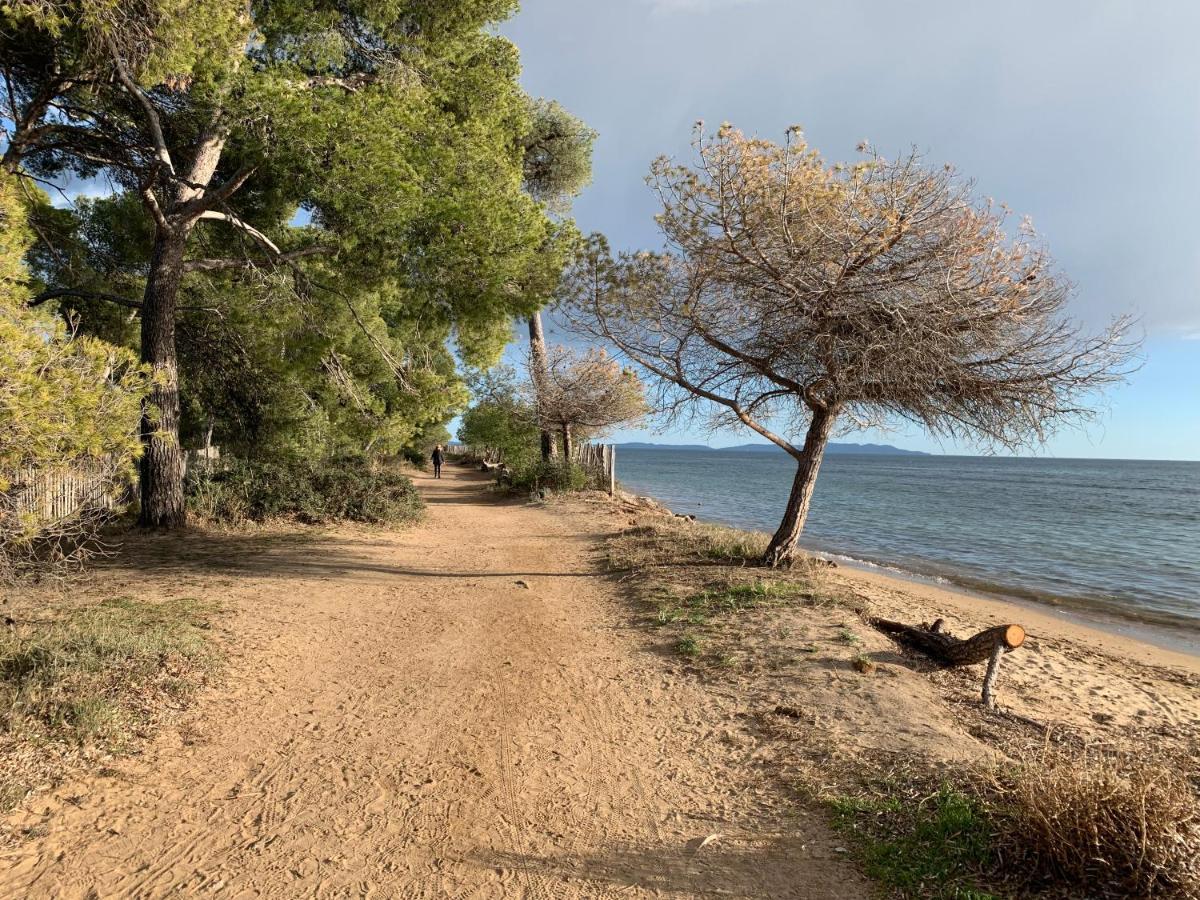 Apartamento T2 climatisé à l'Ile d'Or avec piscine près de la plage La Londe-les-Maures Exterior foto